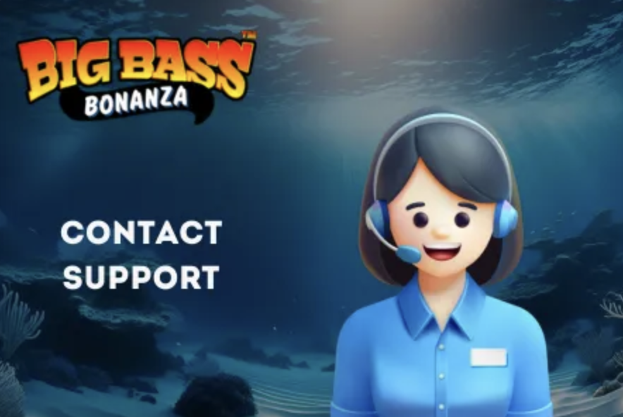 Casino live chat and email support options